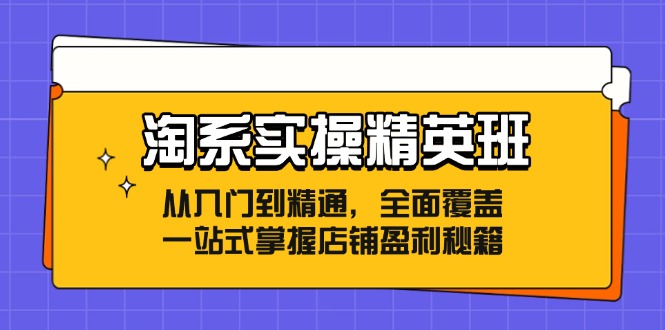 淘系实操精英班：从入门到精通，全面覆盖，一站式掌握店铺盈利秘籍-云创网
