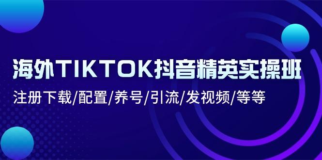 海外TIKTOK抖音精英实操班：注册下载/配置/养号/引流/发视频/等等-云创网