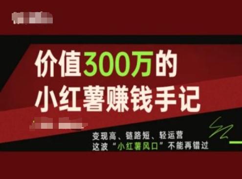 价值300万的小红书赚钱手记，变现高、链路短、轻运营，这波“小红薯风口”不能再错过-云创网
