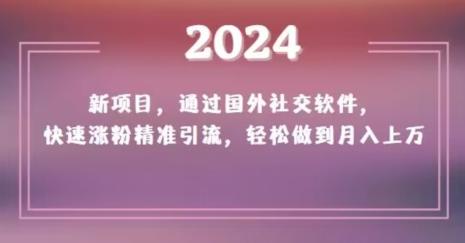 2024新项目，通过国外社交软件，快速涨粉精准引流，轻松做到月入上万【揭秘】-云创网