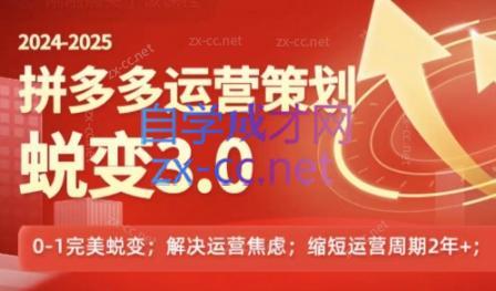大力老师·2024拼多多运营策略蜕变3.0-云创网