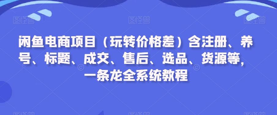 闲鱼电商项目(玩转价格差)含注册、养号、标题、成交、售后、选品、货源等，一条龙全系统教程-云创网