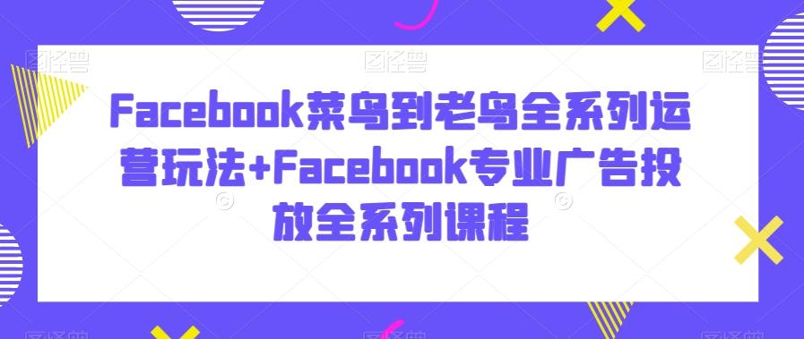Facebook菜鸟到老鸟全系列运营玩法+Facebook专业广告投放全系列课程-云创网