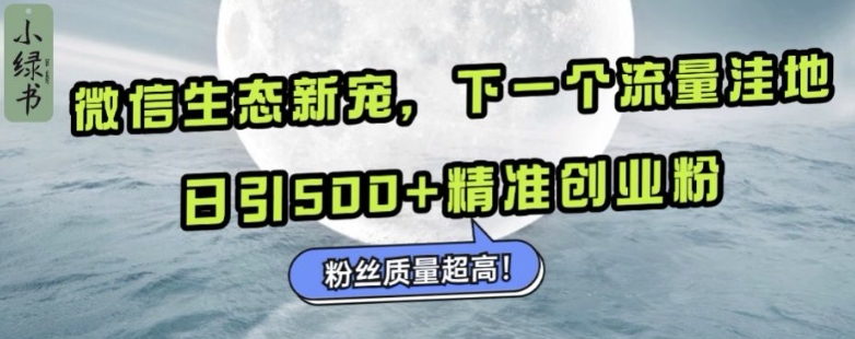 微信生态新宠小绿书：下一个流量洼地，日引500+精准创业粉，粉丝质量超高-云创网