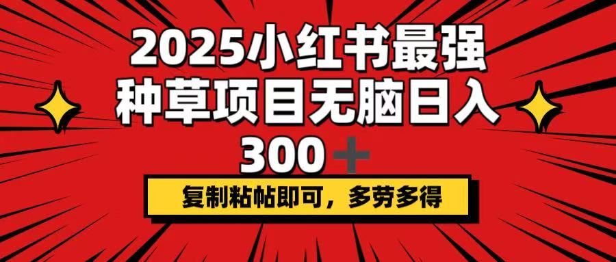 2025小红书最强种草项目，无脑日入300+，复制粘帖即可，多劳多得-云创网