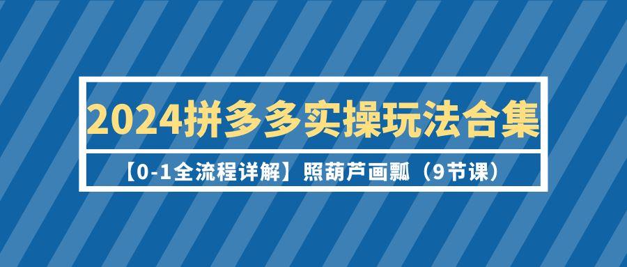 (9559期)2024拼多多实操玩法合集【0-1全流程详解】照葫芦画瓢(9节课)-云创网